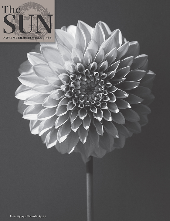 November 2022 cover of The Sun. Close-up of a dahlia against a dark background. The full, light-colored bloom faces the camera and fills the top half of the image, while the leafless stem travels down and off the page.